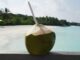 Death Due to Coconut Water: Denmark Man Dies From Brain Infection After Drinking From Spoilt Coconut Left Unrefrigerated