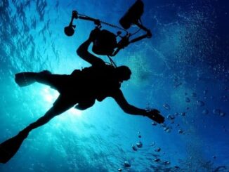 Indian Citizen Dies in UAE: Civil Engineer Issac Paul Olakkengil From Kerala Dies During Scuba Diving Session at Jumeirah Beach in Dubai After Suffering Cardiac Arrest