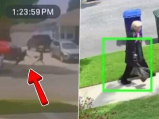 Lakewood: Elderly Woman Hospitalised After Brutal Broad-Daylight Attack by Juvenile During Purse Robbery in California; Suspect Arrested After Video Goes Viral