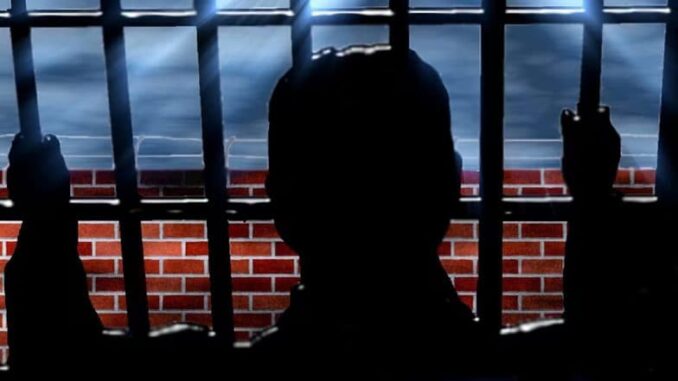 US: Man Arrested for Making Child Porn Videos, Having Sex With Cow Twice in Riverton