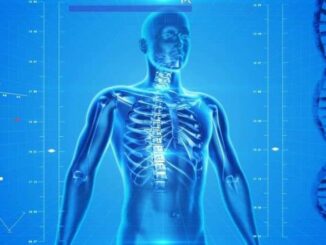 Modern Lifestyles Could Make Certain Body Parts Disappear in Future Humans, Including Hair, Wisdom Teeth, Tailbone, Appendix and Ear Muscles: Scientists