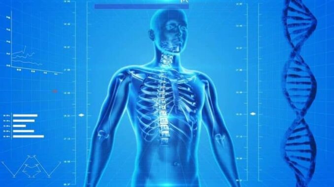 Modern Lifestyles Could Make Certain Body Parts Disappear in Future Humans, Including Hair, Wisdom Teeth, Tailbone, Appendix and Ear Muscles: Scientists