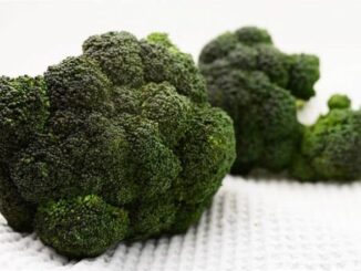 What Is Botulism? Know All About Rare Illness As Italian Singer Dies After Consuming Contaminated Broccoli Sandwich Amid Outbreak