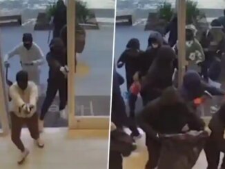 California Heist: Armed Mob of 25 Thieves Rob Heller Jewelers in San Ramon Mall, Loot Jewellery Worth Over INR 9 Crore in Seconds, 7 Arrested As Video Goes Viral