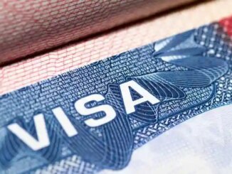H-1B Visa Fee Hike: Which Tech Companies Could Face Major Challenges From Donald Trump’s USD 1,00,000 H-1B Visa Fee?