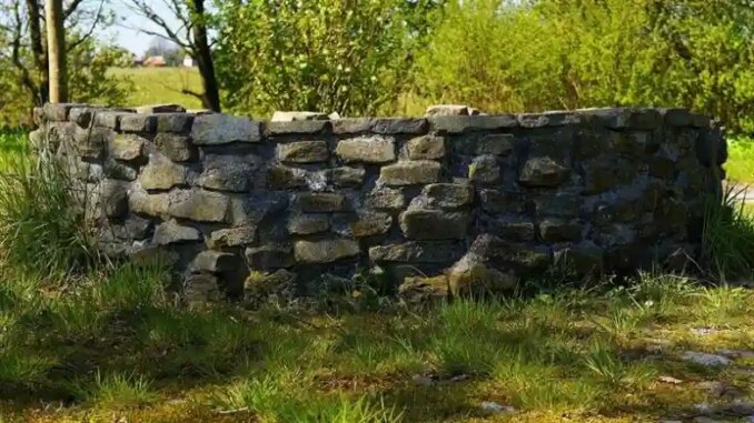 Miracle Rescue in China: Woman Survives 54 Hours in Quanzhou Well, Clinging to Wall and Fighting Off Snakes Before Dramatic Escape