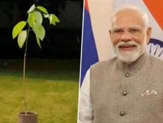 PM Modi 75th Birthday: UK King Charles Sends Kadamb Tree As Present to Prime Minister Narendra Modi on His Birthday