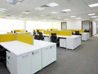 What Is Tall Poppy Syndrome? Study Reveals How Ambitious Professionals Are Punished for Success at Work Through Jealousy, Exclusion and Hostility